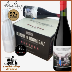 Caja de 6 botellas de Altos Las Hormigas Malbec Jardin De Hormigas Meteora 2024