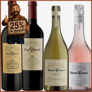 Mix 4 botellas de Bodega Bianchi Tinto, Blanco y Rosado
