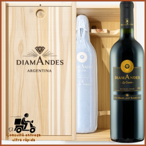 Caja de 2 botellas de DiamAndes La Cuvée 2019